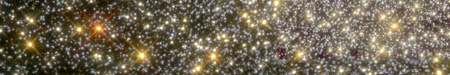 Stars in a globular cluster