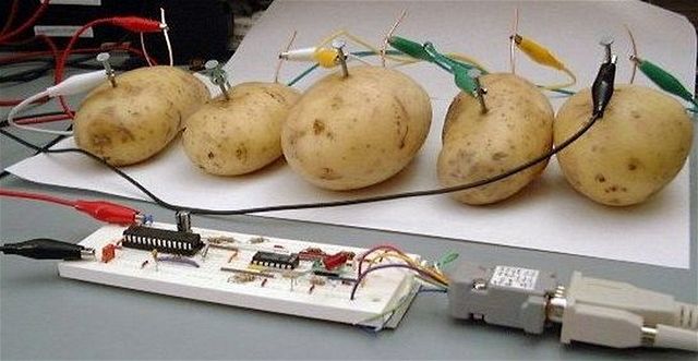 Spud Server