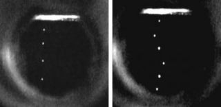 Captured on a home video camera some electrons follow a straight path through superfluid helium (far left). Those entrained in a superfluid vortex follow a snakelike path. Credit: Image: Humphrey Maris and Wei Guo