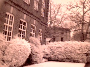 A Hedge in IR