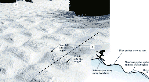 (a) Moguls on Riflesight Notch at Colorados Winter Park Resort display a characteristic checkerboard pattern. Downhill is toward the top of the photograph; the mogul field shown here is about 100 m long. The uphill side of each mogul has loose material deposited by skiers; the downhill side is worn smooth by skier erosion. Moguls are separated by approximately 5.7 m. (b) Moguls migrate uphill because skiers erode the downhill side of each bump and deposit snow on the uphill side of the following bump.