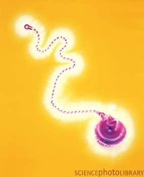 Kirlian photograph of a plug on a chain