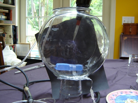 [fishbowl of argon with Tesla coil dipped inside]