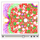 CoarseContourPlots