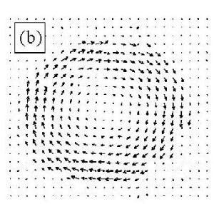  Velocity Field