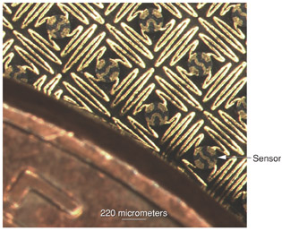 Serpentine gold wires connect an array of silicon stress sensors.