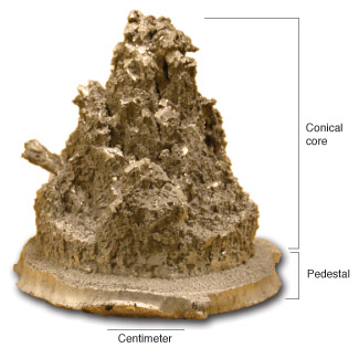 Photo of material recovered from a shocked metals experiment.