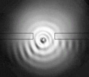 Single-particle interference observed for macroscopic objects