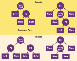 Figure 5 Crossover (Breeding) Operation