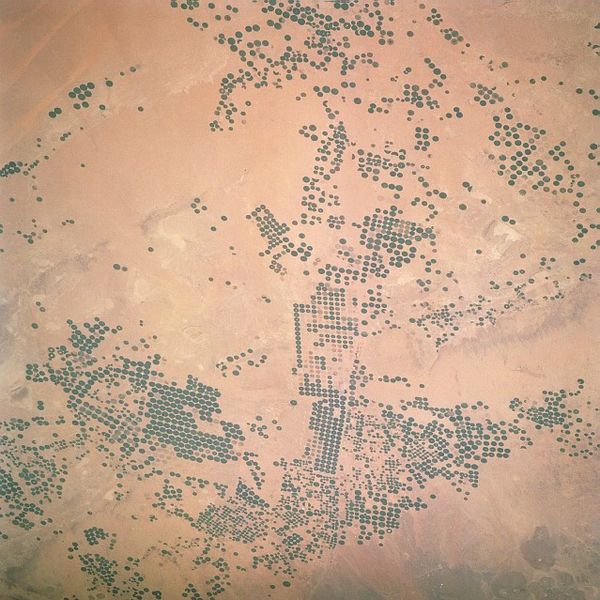 Image:Saudi arabia irrigation.jpg