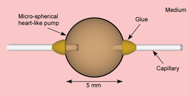 Graphical abstract image for this article  (ID: b612082b)