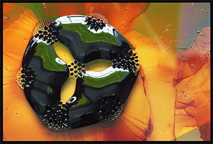 Ferrofluid, with permanent magnets underneath (photo courtesy of Felice Frankel, MIT)