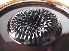 Ferrofluid spikes above pole of ring ceramic magnet (photo courtesy of ForceField)