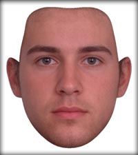 Average male face