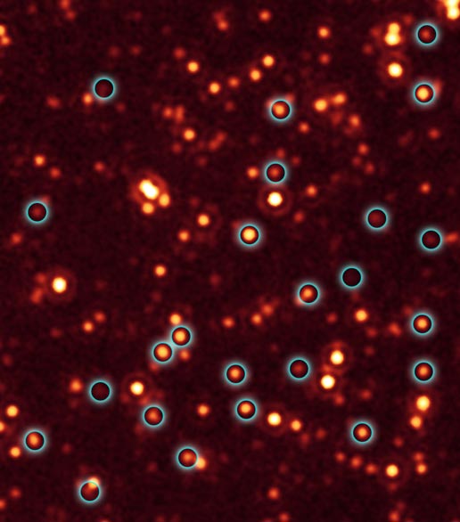 Active supermassive black holes (circled in blue)