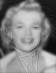 monroe einstein