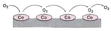 Oxygen molecule hopping along cobalt atom chain