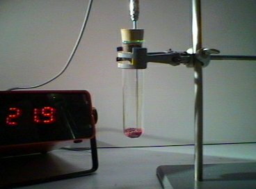 Cobalt (II) chloride before the addition of thionyl chloride