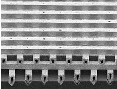 Detailn pohled na wolframovou strukturu vytvoenou v Sandia National Laboratory. Vzdlenost mezi trmky je asi 5 mikron.