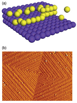 (a) Model of crystal step growth. (b) Atomic force microscope image of a pure calcite sample.