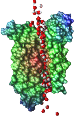 channel protein structure