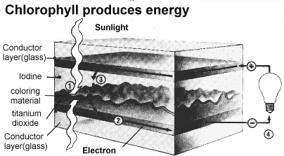 The Graetzel solar cell