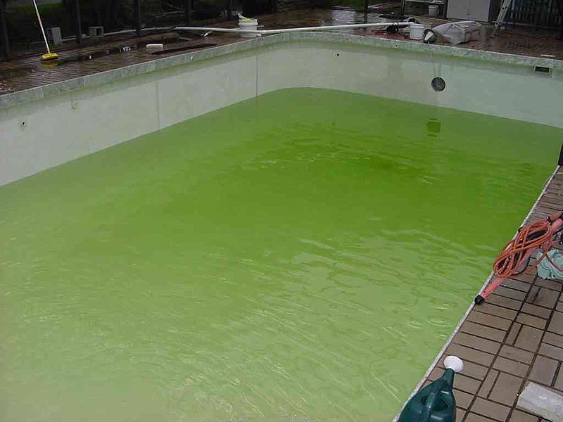 Image:Rkinch chloramine pool.jpg