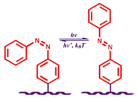 Azobenzene photoisomerization. The trans form (left) can be converted to the cis form (right) using an appropriate wavelength of light. A different wavelength of light can be used to convert the molecule back to the trans form. Alternately, the molecule will thermally relax to the stable trans form.