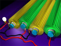 The fibres, covered with 'hairs' of zinc oxide, can be wired up for power.