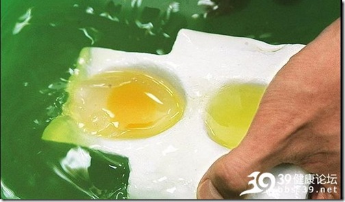 20090424-fakeegg-18