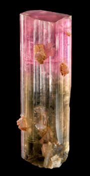 http://www.exceptionalminerals.com/Tucson2012-157RSTourmaline54mm.jpg