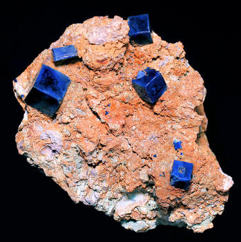 http://www.exceptionalminerals.com/Tucson2012-285BoleiteAmeliaMineMexico2.jpg