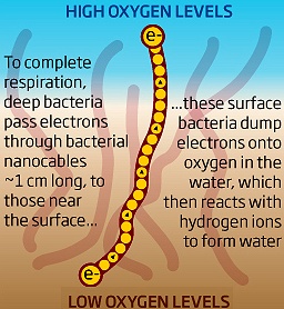 http://www.newscientist.com/data/images/archive/2871/28712301.jpg