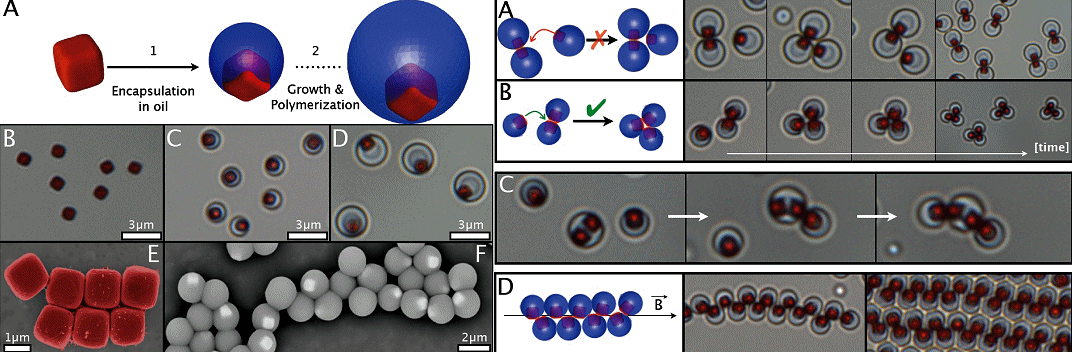 http://cdn.physorg.com/newman/gfx/news/hires/2012/magneticcolloids1.jpg