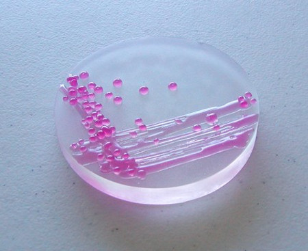 petri-dish-soap.jpg