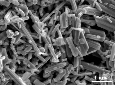 http://www.earthtimes.org/newsimage/nanorods_positive_electrode_303.jpg