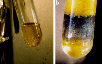 http://www.aetherwavetheory.info/images/chemistry/alkalimetals/cesium_auride.gif