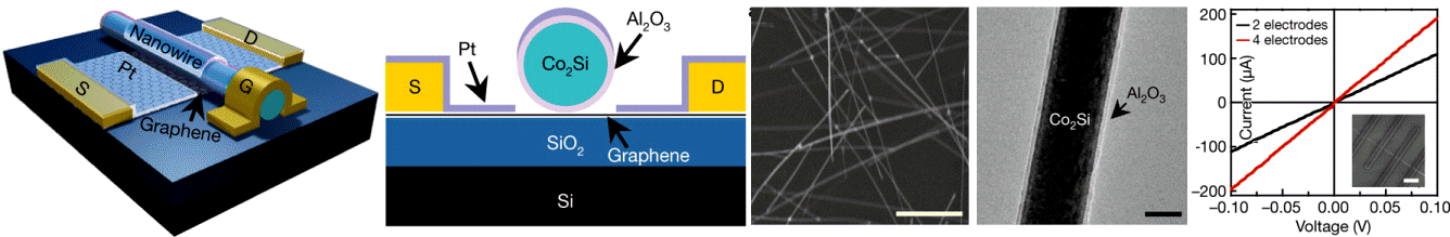 Schematic illustration of a high-speed graphene transistor with a Co2Si-Al2O3 core-shell nanowire as the self-aligned top-gate.