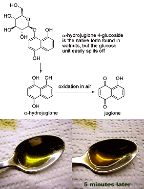 juglone-nocino-spoon