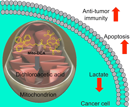 http://pubs.acs.org/appl/literatum/publisher/achs/journals/content/acbcct/0/acbcct.ahead-of-print/cb400944y/aop/images/medium/cb-2013-00944y_0008.gif