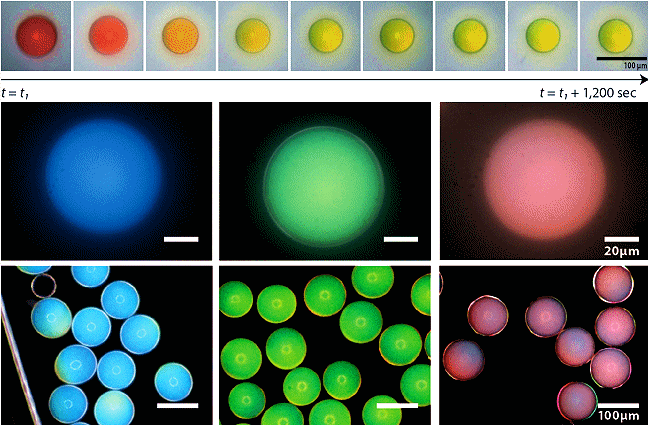 http://www.seas.harvard.edu/sites/default/files/images/news/pigments2.jpg