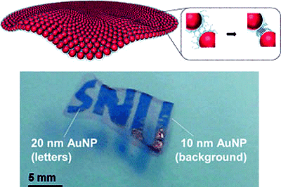 http://www.nanowerk.com/nanotechnology-news/id39129.jpg