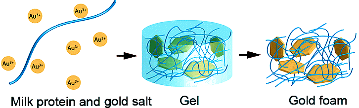 Milk protein filaments and gold salt are the starting materials for the gold foam. (Ilustration: Nyström G et al. Advanced Materials 2015)