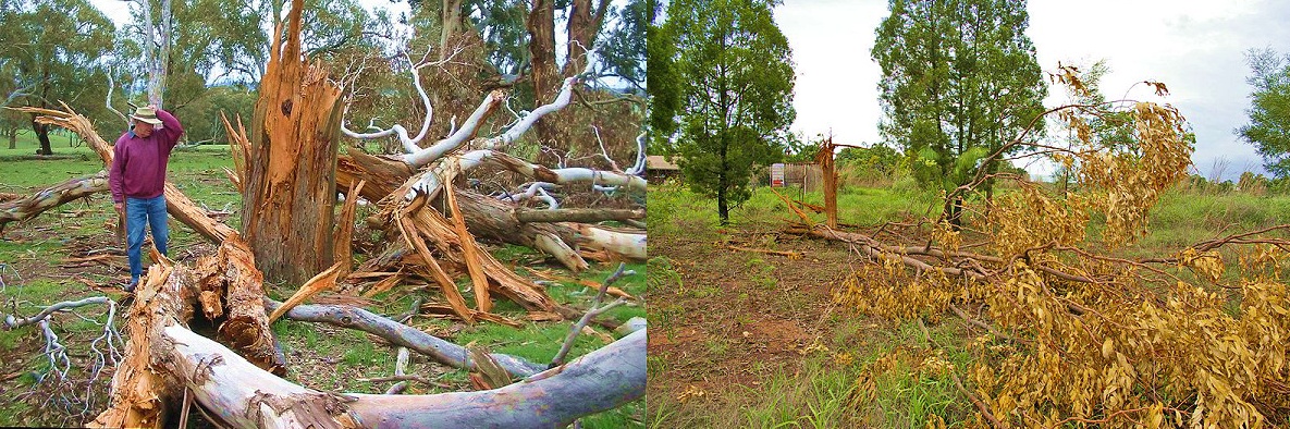 File:Lightning damage.jpg