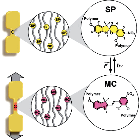 http://autonomic.beckman.illinois.edu/Nature%2009%20Paper/nature_forcefig2.jpg