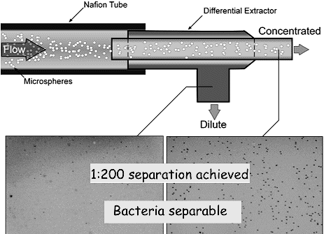 separationCharge