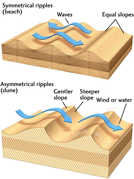 http://bc.outcrop.org/images/rocks/sedimentary/press4e/figure-08-08.jpg