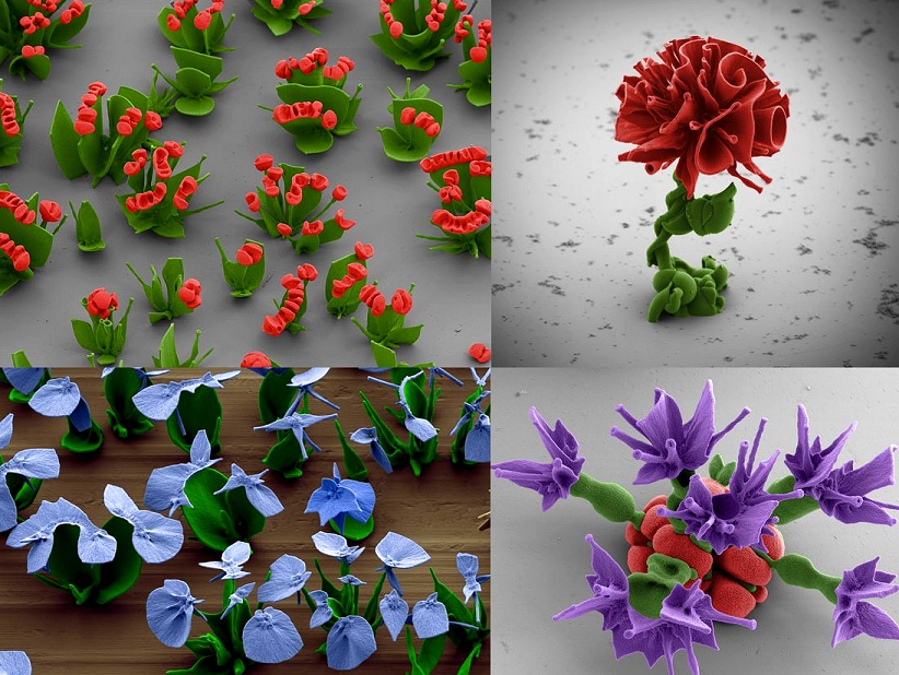 http://images.nationalgeographic.com/wpf/media-live/photos/000/675/overrides/scientists-make-nano-flowers-field-red_67526_600x450.jpg