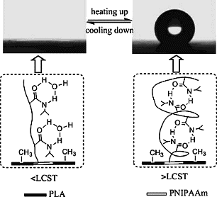 http://onlinelibrary.wiley.com/store/10.1002/mame.200900215/asset/image_m/mgra001.jpg?v=1&s=450d1afdf8fe101cba0567d242ab8fc6121cc32b