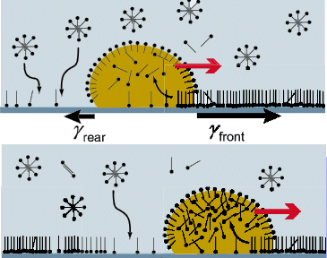 http://soft-matter.seas.harvard.edu/images/a/ad/Moved1.jpg